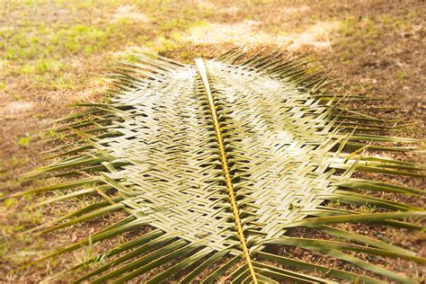 D'source Fan Process | Making Process | D'Source Digital Online ...