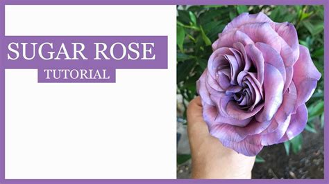 Image result for Sugar Rose Tutorial