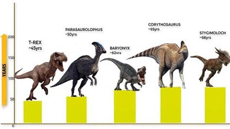 解析恐龙寿命长短，它们到底能活多久？