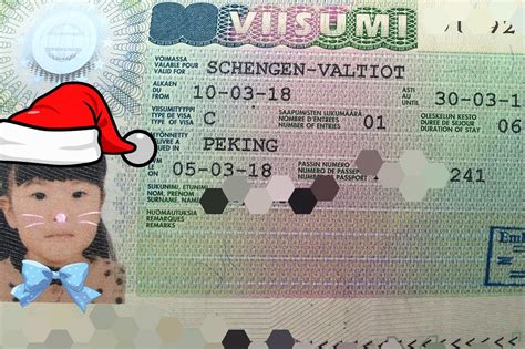 办芬兰签证有这一篇就够了，附带娃出行公证流程