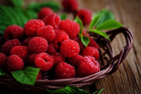 How to Use a Wacker Compactor 的图像结果