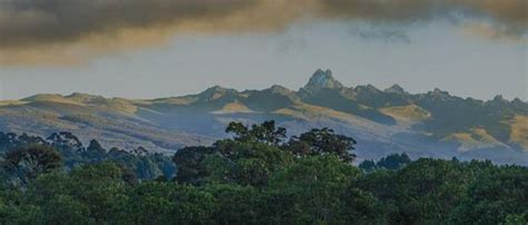 PEATLANDS | IAS GYAN