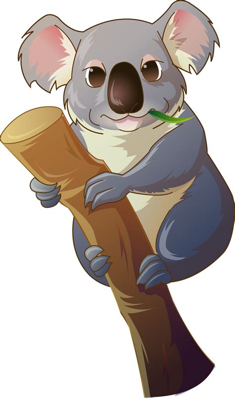 Koala clipart koala bear, Koala koala bear Transparent FREE for ...