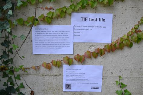 Image result for TIF File Format