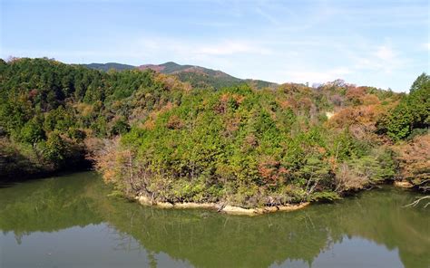 THE 30 BEST Places to Visit in Hashimoto (2026)