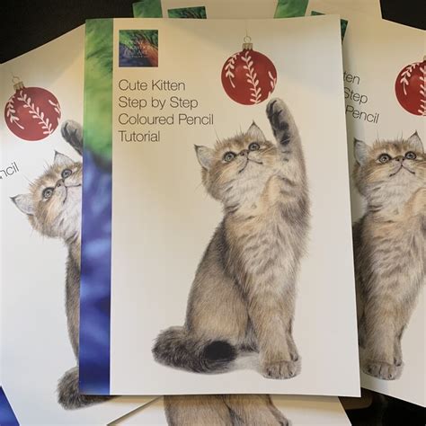 Image result for Recent Bonny Snowdon Tutorials