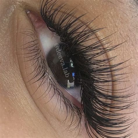 Image result for Eyelash Extensions