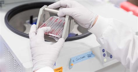 Image result for Flow Cytometry Now