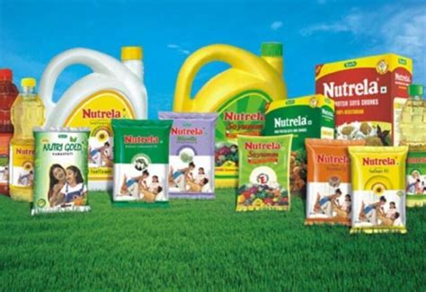 Patanjali's Ruchi Soya loses 30% of its value in 9 days after 8980% rally