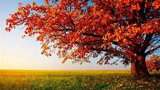 Nature High Resolution Fall Desktop Backgrounds by High Resolution Nature Desktop Hd Wallpaper Widescreen Nature High Resolution Fall Desktop Backgrounds