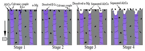 Effect of Ca Content on the Mechanical Properties and Corrosion ...