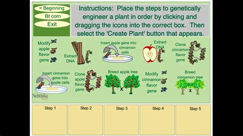 Genetic Engineering Basic Steps 的图像结果