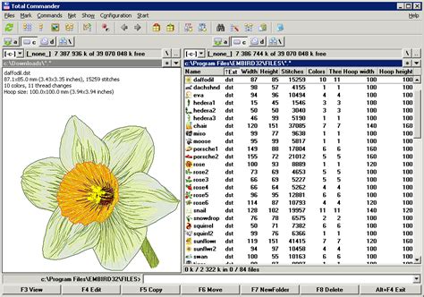 Image result for Embird Save Designs