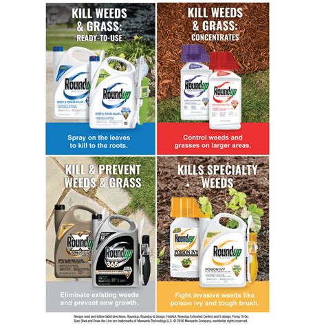 Buy Roundup Ready-To-Use Weed & Grass Killer III, 24 oz., Results in 3 ...