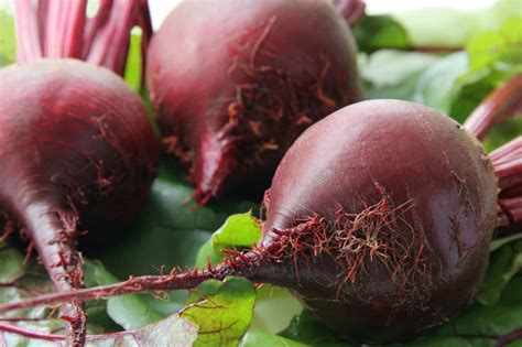 How Much Sugar In Beets? The Truth About This Root Vegetable