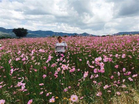 𝗧𝗛𝗘 𝗕𝗘𝗦𝗧 Hotels in Comanja de Corona of 2026 (with Prices)