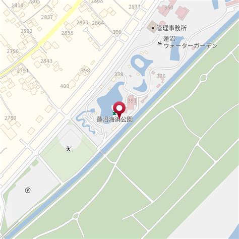 Image result for Data Collection Process Graph