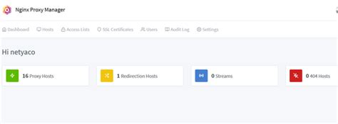 Cómo configurar Nginx Proxy Manager