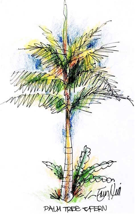 Sketching Tree Limbs 的图像结果