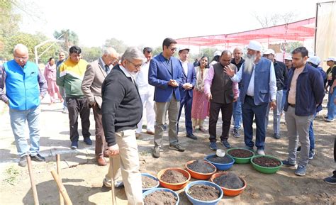 Shaping Tomorrow: Panasonic Green Impact Pledge – Grow Billion Trees