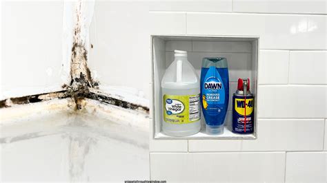How to Clean Mold and Mildew in Shower Grout Naturally