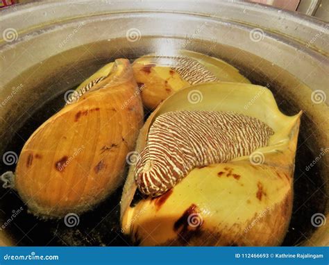 Image result for Conch Shell Food
