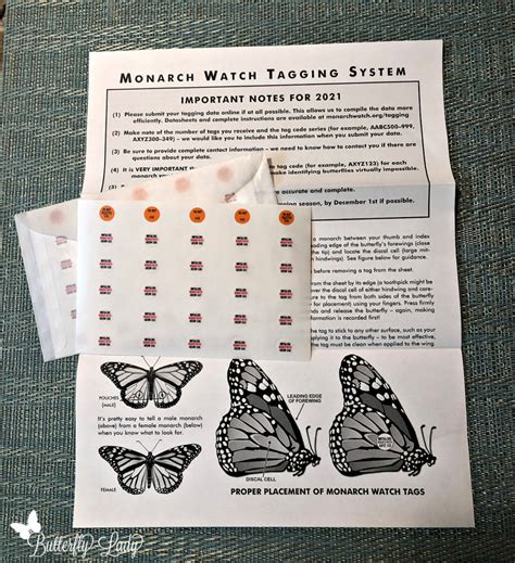 Monarch Tagging Program 的图像结果