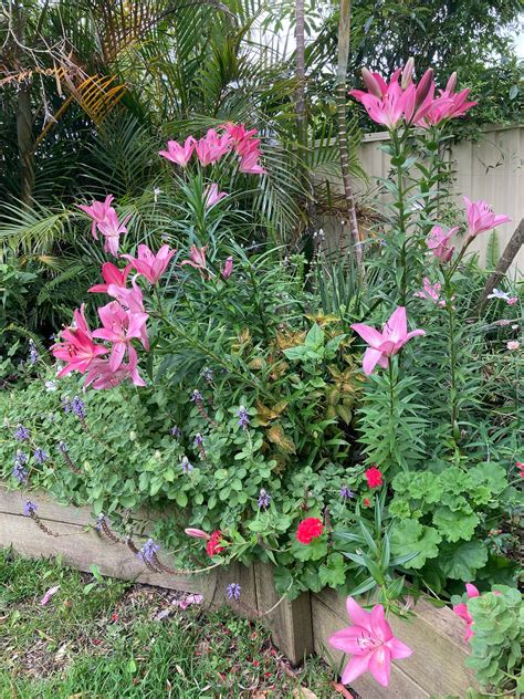 There is Something. In the air | by David Rudder | PoeticEssences | Dec ...