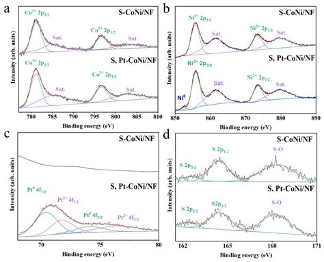 Dual-Modification Engineering of CoNi Alloy Realizing Robust ...