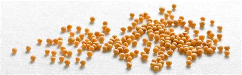 Wiberg-Gewürze | GOURMET VERSAND Online Shop