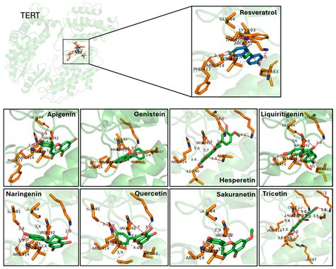 Synergizing Virtual Screening and Zebrafish Models to Identify ...
