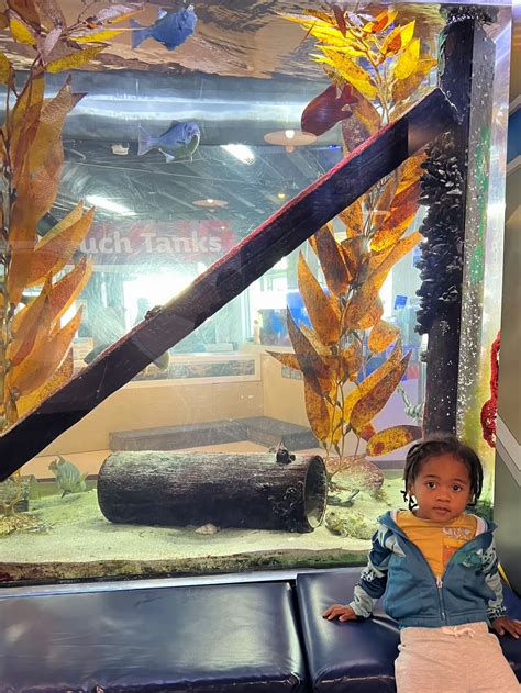 Heal The Bay Aquarium, Santa Monica | Video published by C Money London ...