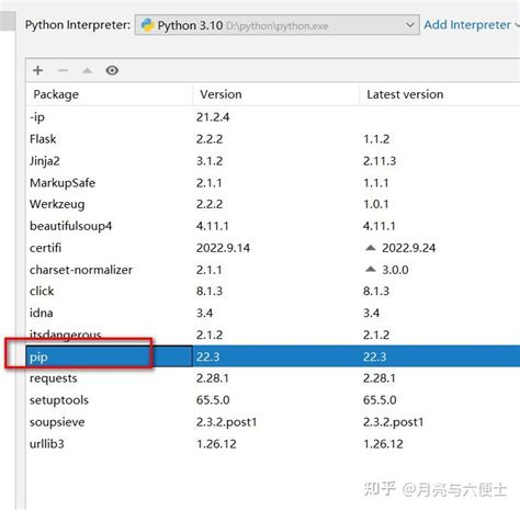 Install Pip From PyCharm 的图像结果