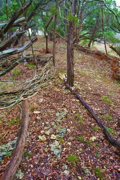 Oak Hill Austin Texas Art Real estate And News