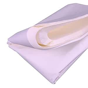 Carnival Papers Wet Strength Tissue Paper 60 Sheets : Amazon.in: Home ...