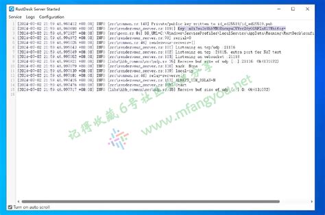 RustDesk Tutorial 的图像结果