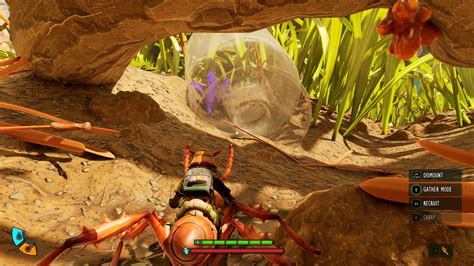 Flower Petals Grounded 2