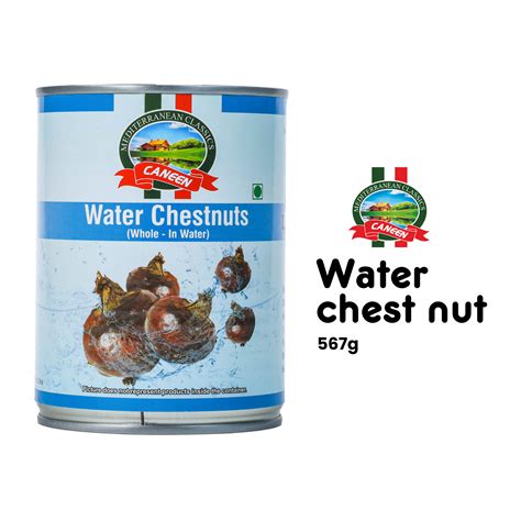 Buy Caneen Water Chestnuts (Whole) 567g- online at EpicEats – EpicEats ...