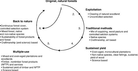 Forestry Model 4 的图像结果