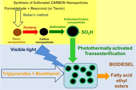 Towards Photothermal Acid Catalysts Using Eco-Sustainable Sulfonated ...