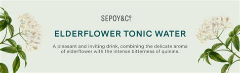 SEPOY & CO. Elderflower Tonic Water, Premium G&T Cocktail Mixer ...
