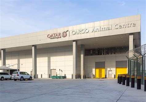 Qatar Airways Cargo Elevates Live Animal Transport with launch of ...