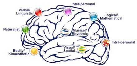 The Advisor | Psychometric Test - DMIT - Smart Mind Programming - Smart ...