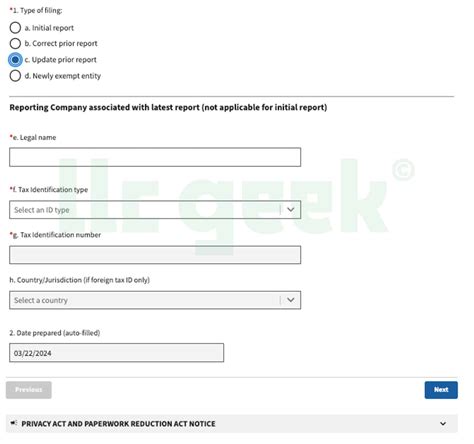 BOIR for LLC: BOIR Filing (Guide & Screenshots) - LLC Geek