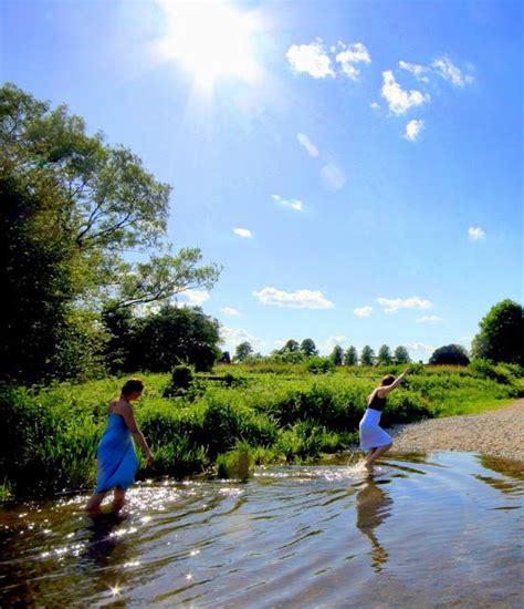 Swimming Outside 的图像结果