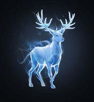 Image result for 牡鹿