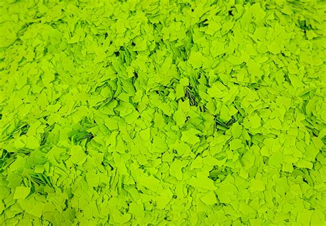 Stylish Gold Coast Flooring Supply Inc You’ll Love