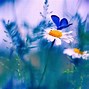Image result for High Resolution Spring Flowers Bunnies