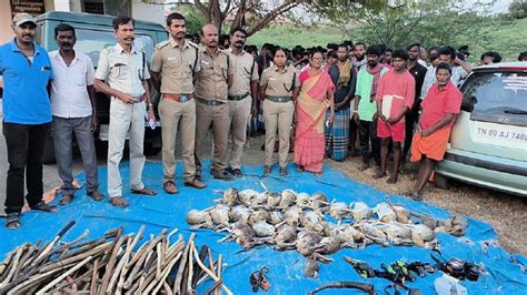 விருதுநகர் | கோயிலில் பலியிட வன விலங்குகளை வேட்டையாடிய கிராமத்தினர் ...