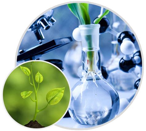 Samson Agro Biotech Division